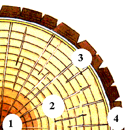 Mesure de l'âge d'un arbre